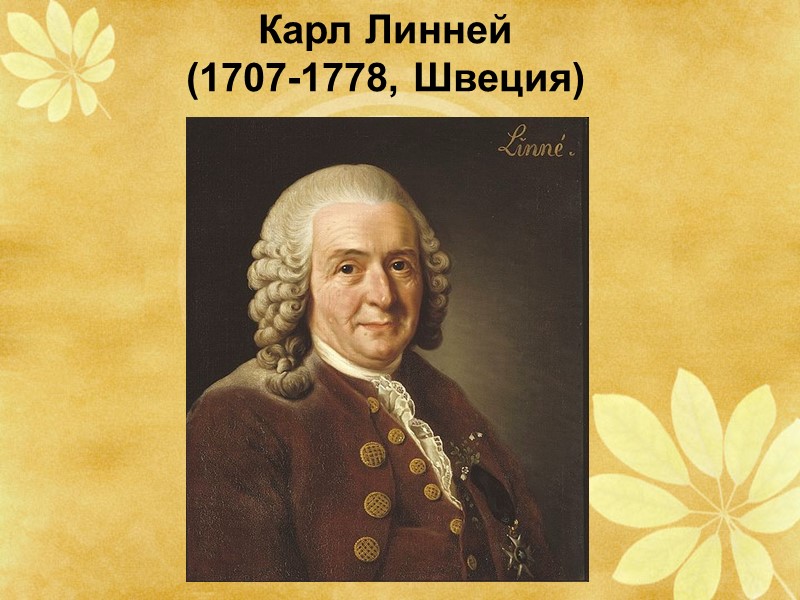 Карл Линней  (1707-1778, Швеция)